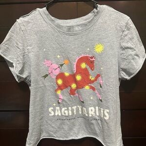 Gray Sagittarius T-Shirt